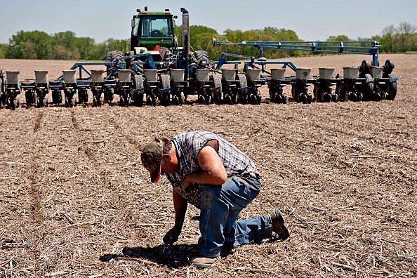 Corn Planting As Prices Drop On Speculation U.S. Planting Pace Will Accelerate