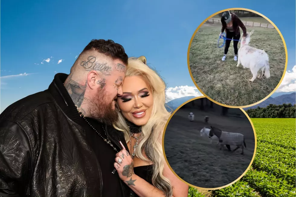 Jelly Roll + Bunnie Xo Finally Solved Their Donkey Problem