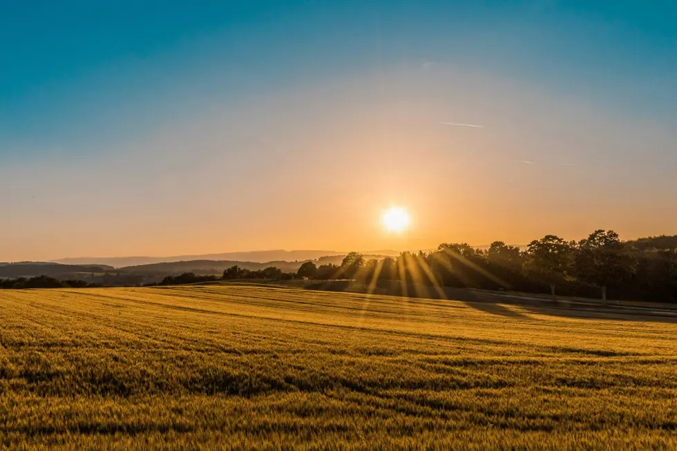 Secure Your Farm’s Future: Linn County Workshop Set for Early December